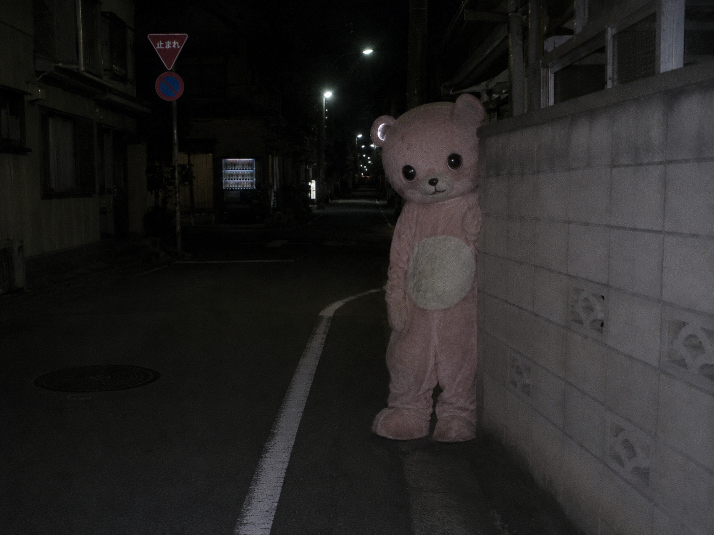 写真 No.0007